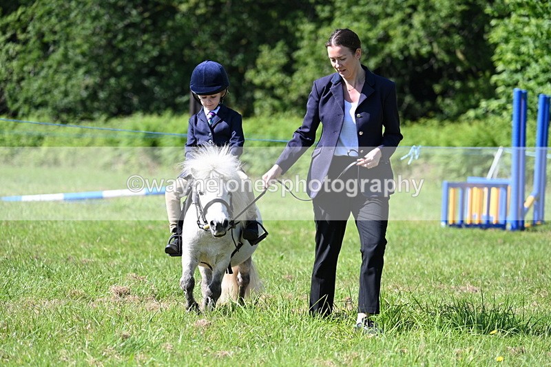 WJ7_0550 - Class 8 First Rally Pony