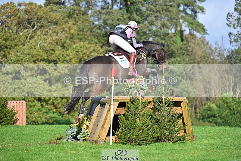 241025-114832-06775 - 056-Claire.Deuten-KILBUNNY.BLUE.BIRD