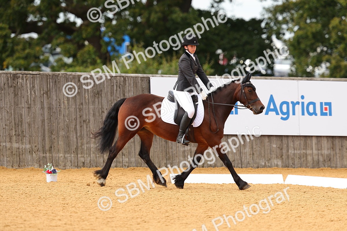 SBM_48246 - D22 - Junior Championship - Intro B