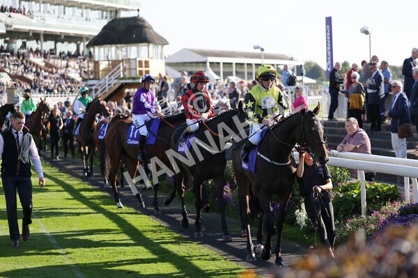 yr08102021r3-8 - Race 3 3.15pm Download The Casumo App Today Handicap
