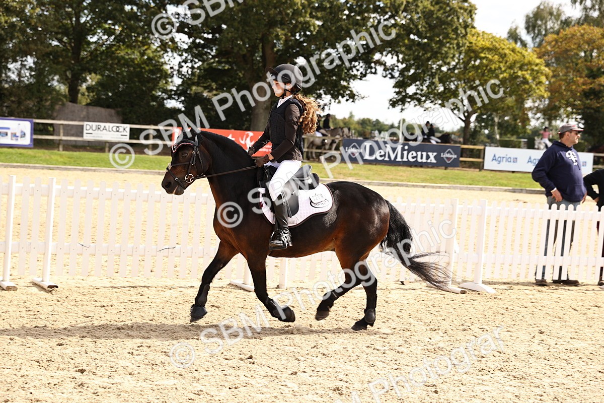 SBM_64298 - Supreme Championship - AM