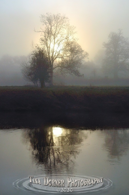 Morning Sun on Wye Riverbank. by Tina Dorner Photography, Forest of Dean and Wye Valley, Gloucestershire