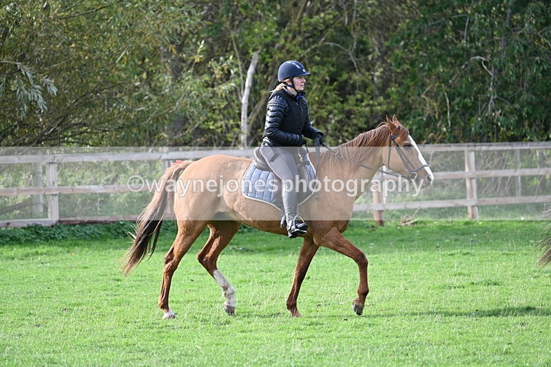 WJ7_1110 - Time 14:27 to 15:11