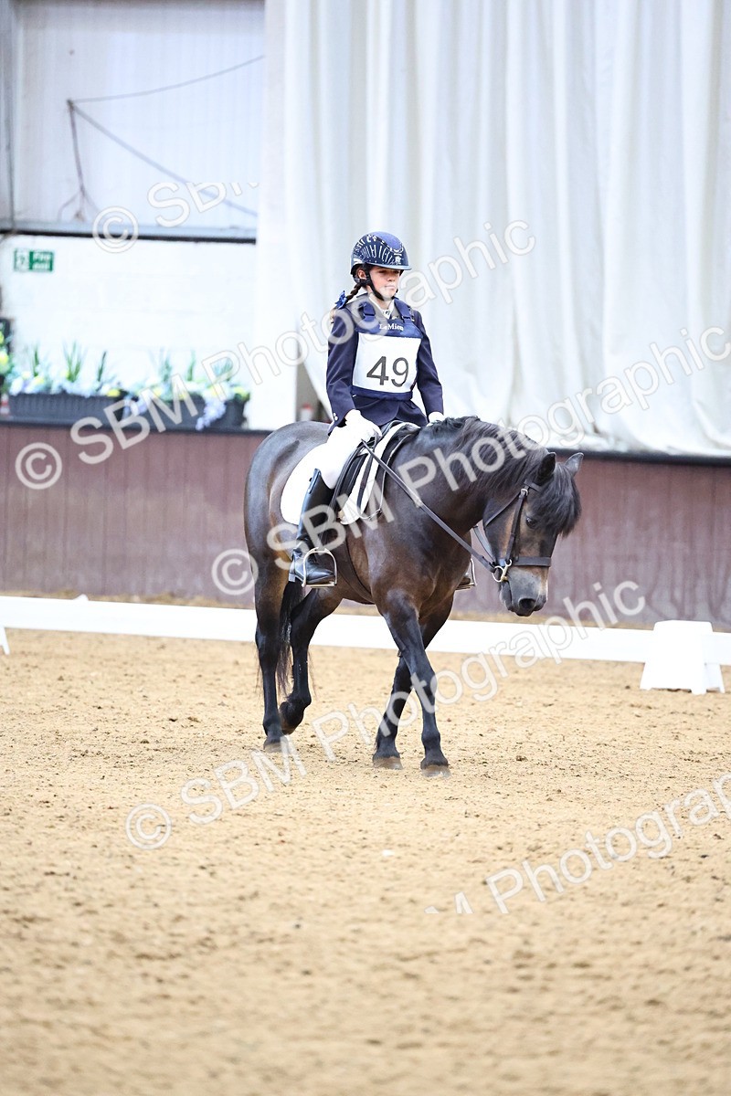 SBM_003399 - Intro 2