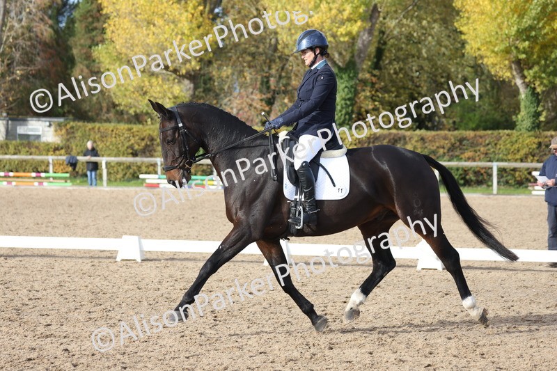 20251102-1120 - Class 6 - Elementary 6