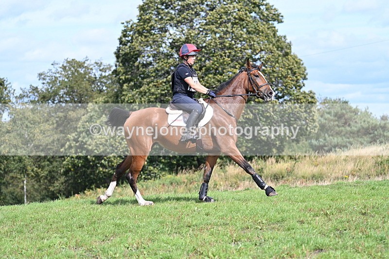 WJ7_2007 - Time 13:17 to 13:53