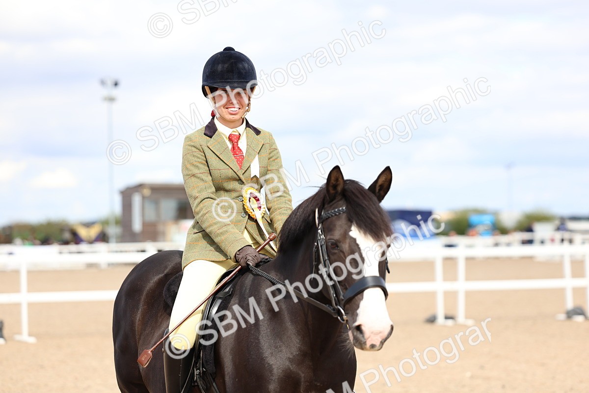 SBM_15865 - Class 314 - Family Horse - Pony