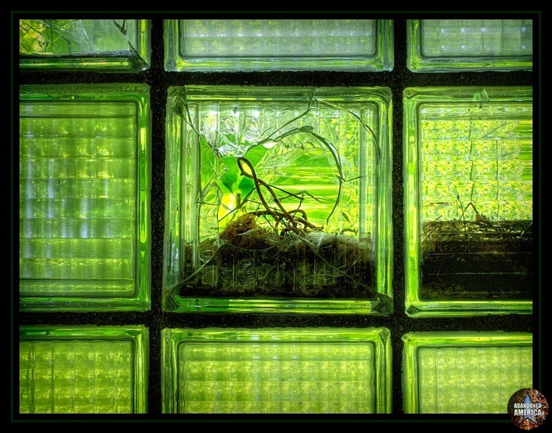 Abandoned State Hospital window - Matthew Christopher's Abandoned America