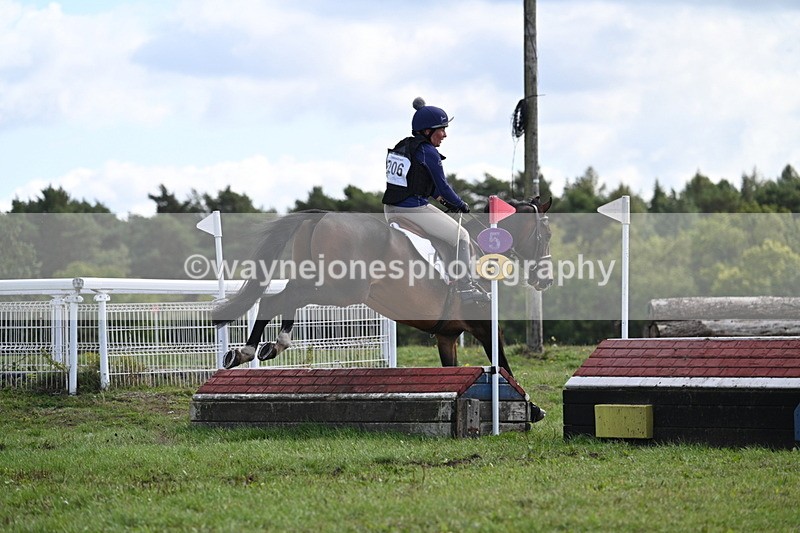 WJ7_0584 - Time 11:36 to 12:00