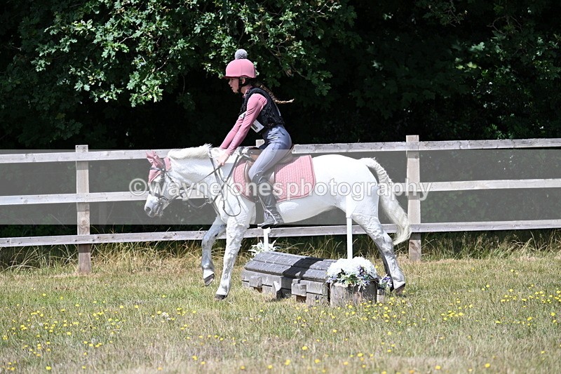 WJ7_0087 - 40cm Time 11:30 to 11:46