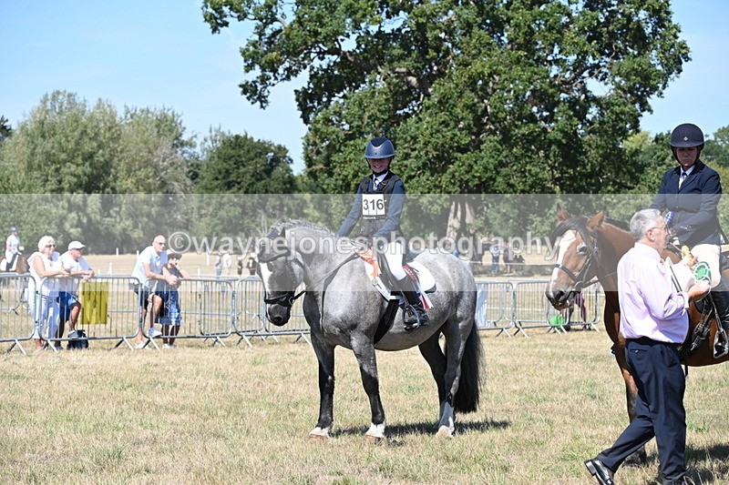 WJ6_8462 - Class 37a Best Loan Pony Ridden