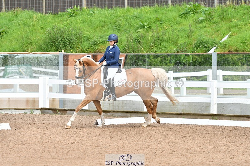 230511A-145007-01024 - BD Cls 14 Adv Medium 98