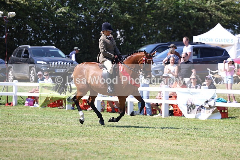 3E7A7633 - Rising Star Ridden Championship