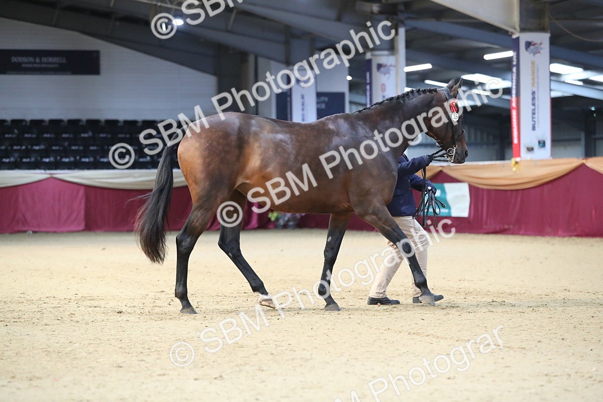 SBM_00230 - Class 1a - Area IH Diamond