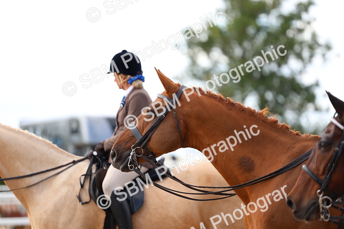 SBM_17217 - Class 315 - Best Horse - Rider Combination
