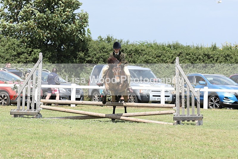 JPP_2014 - Class 19: Working Hunter 60cm