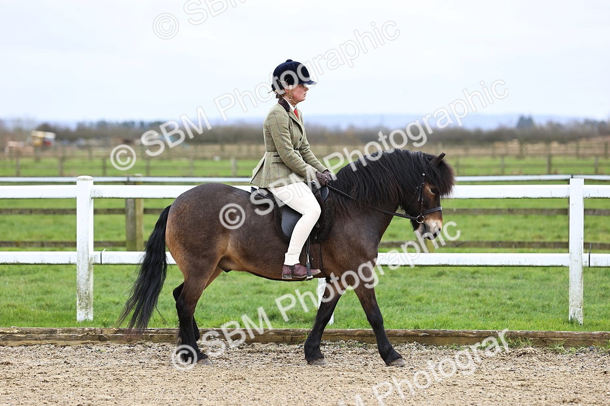 SBM_006730 - Class 29 - 30 - M&M Pure Novice Small-Large Breeds