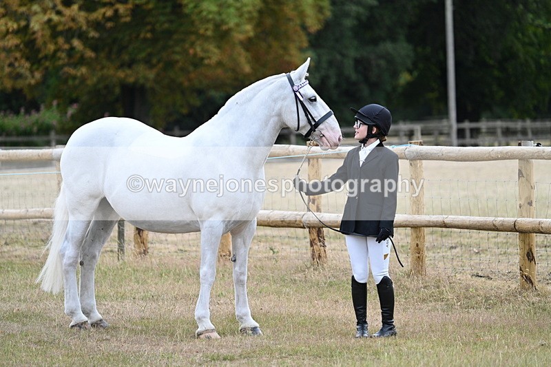 WJ7_8849 - Class 4a Prettiest Mare 14.2hh and over