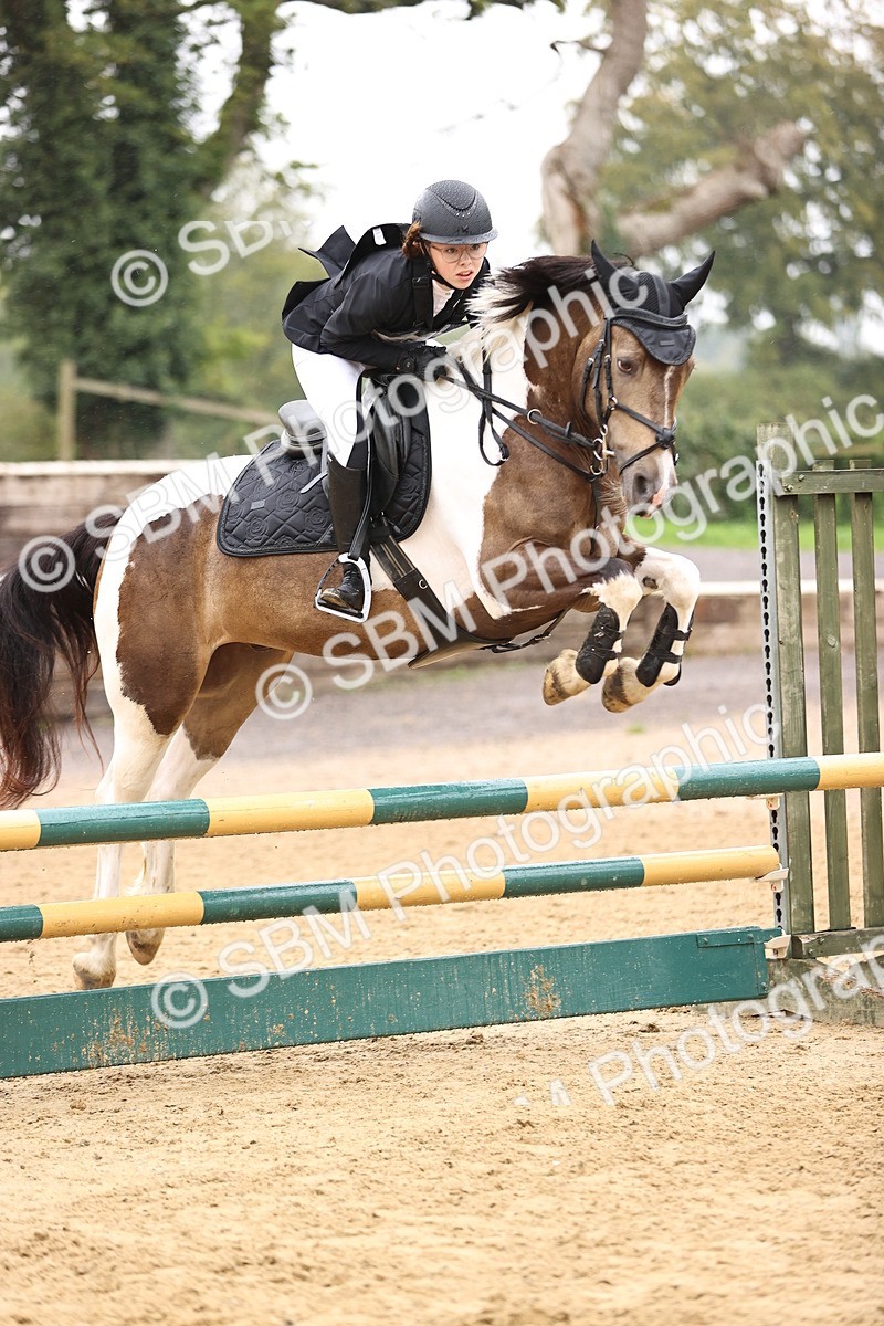 SBM_69999 - Supreme Championship 80cm 85cm