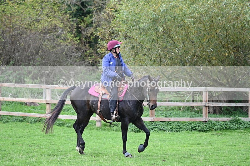 WJ7_9935 - Time 13:13 to 13:55