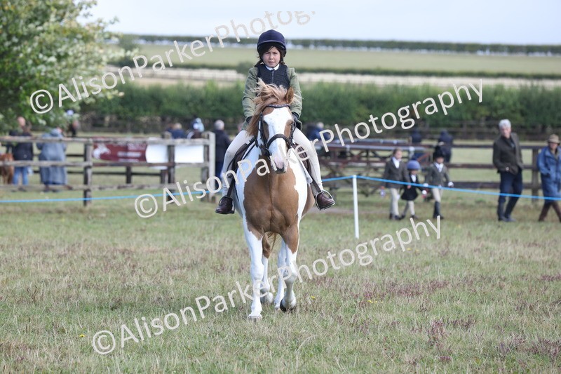 20250831-2452 - Class 16 - Family Pony