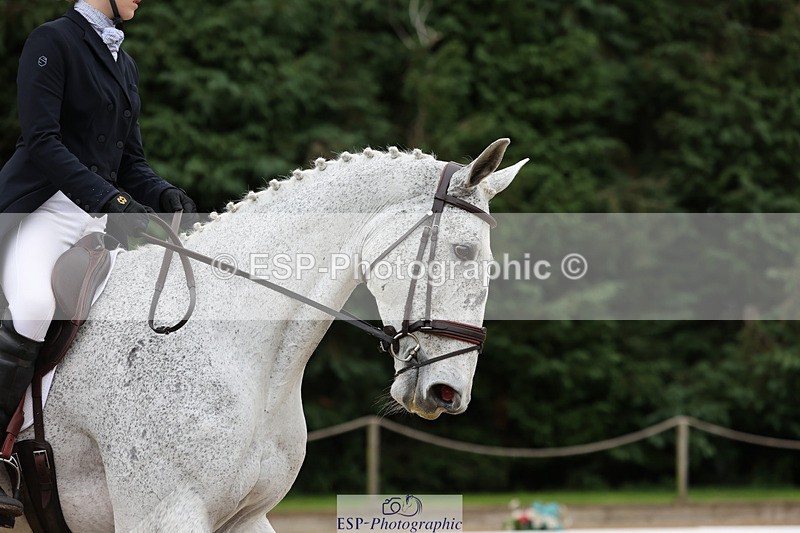 241024-110446-01504 - 225-Zennor.Harvey-GRAF.CRUSOE
