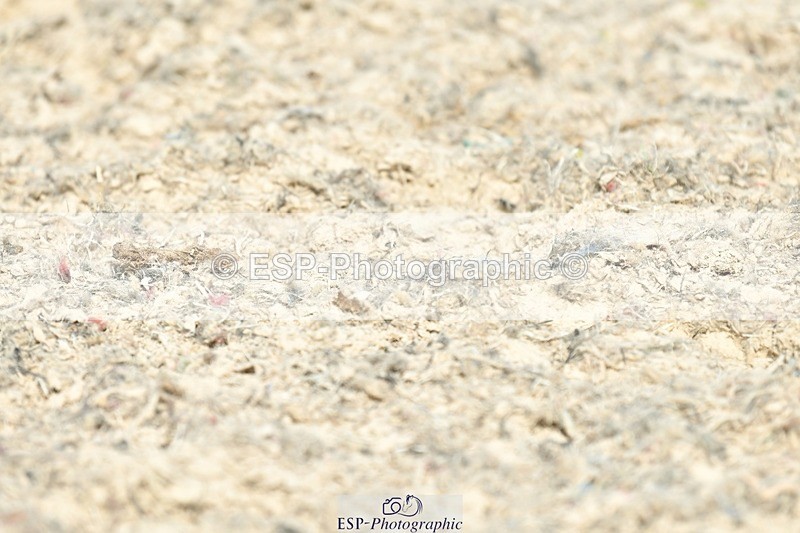 230623-164422-02882 - Cls 13 FEI Intermediate II