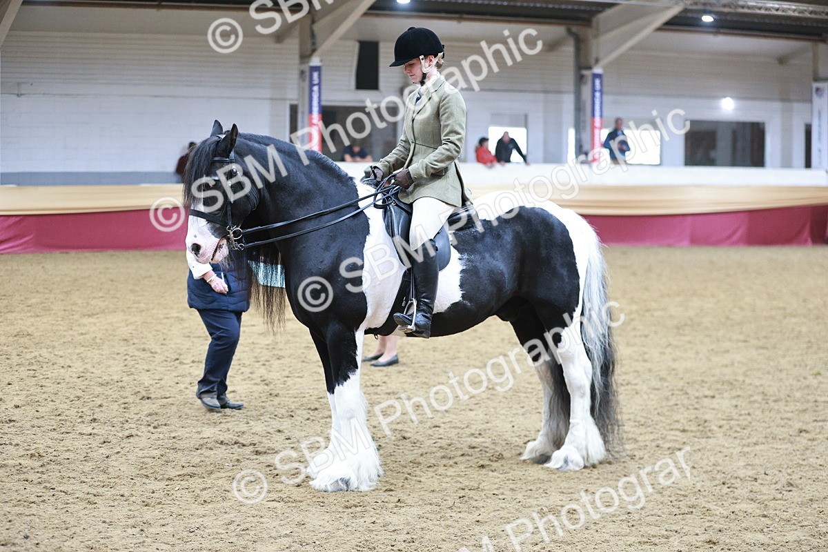 SBM_08902 - Class 12R - Regional Ridden Pre-Vet
