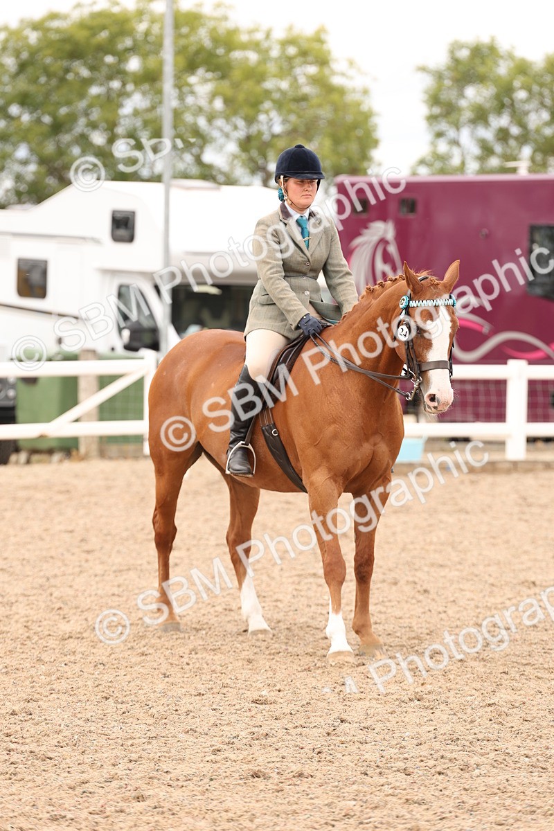 SBM_17352 - Class 214 - Ridden Hack Riding Horse