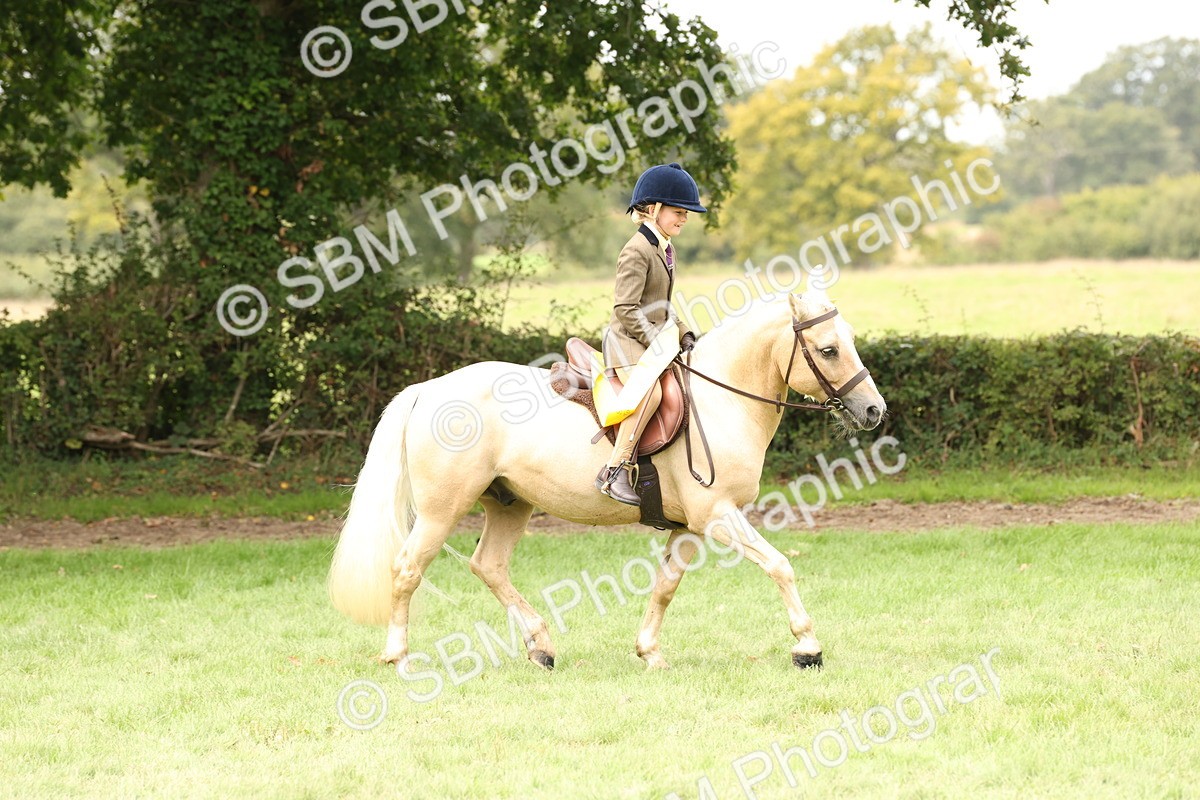 SBM_63063 - S64 - Foreign Breeds Ridden