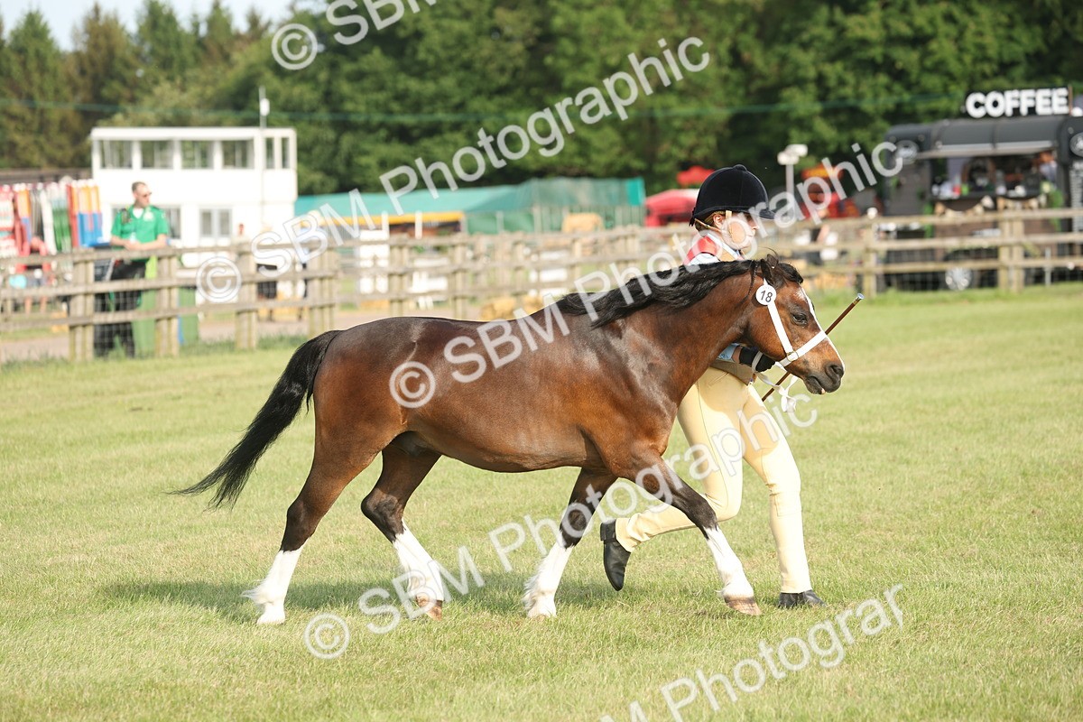 SBM_10590 - Class 33-38 - SSADL RIHS Qualifiers