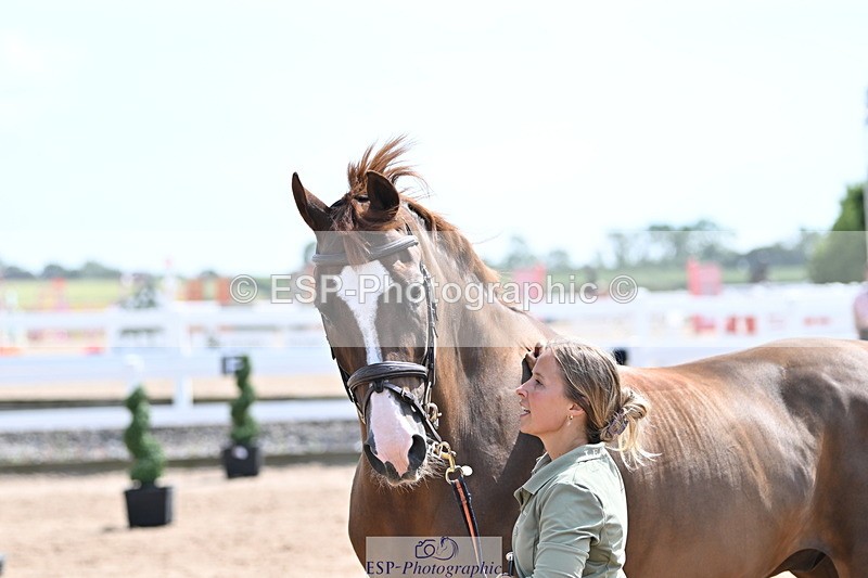 240717A-152718-02838 - Trot Up 3pm to 4pm