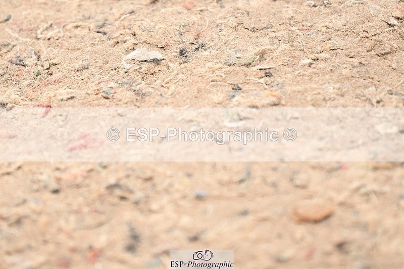 250424-140510-04844 - Cls 5 - 2 Star Medium Tour