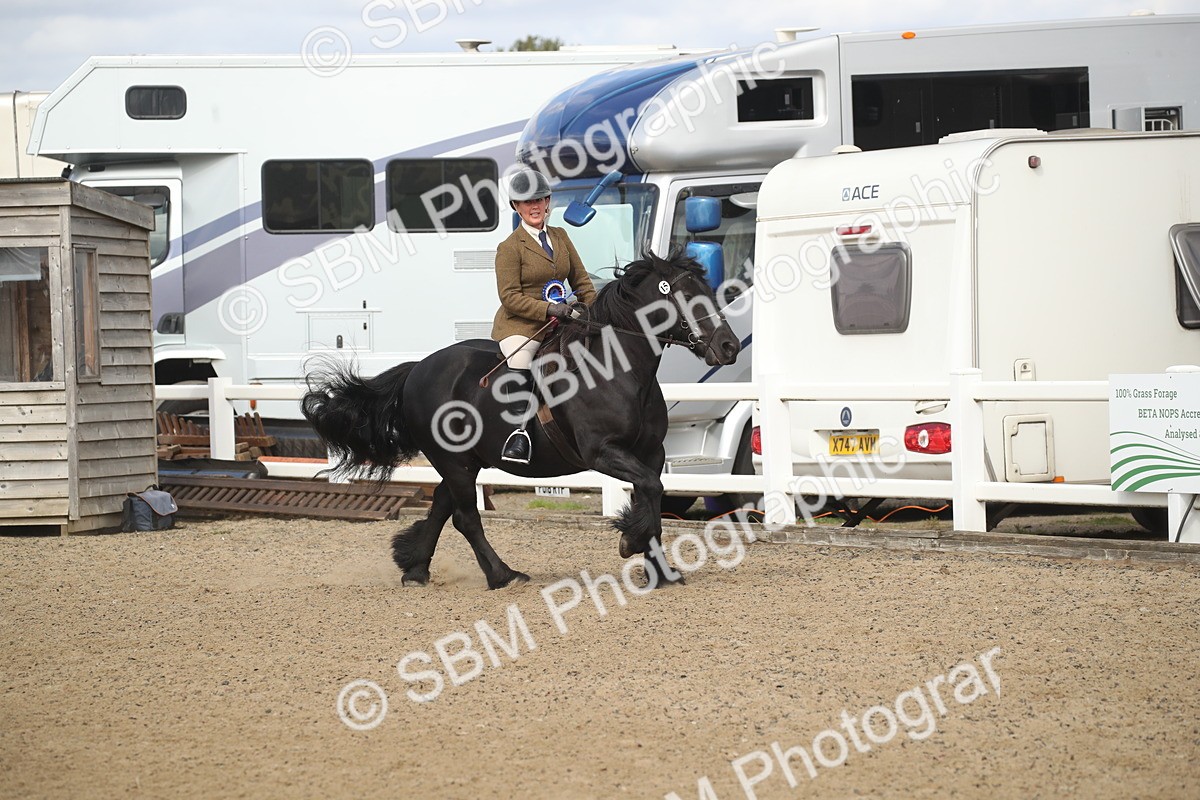 SBM_14609 - Class 505a - M&M Working Veteran - 50cm (15-19)