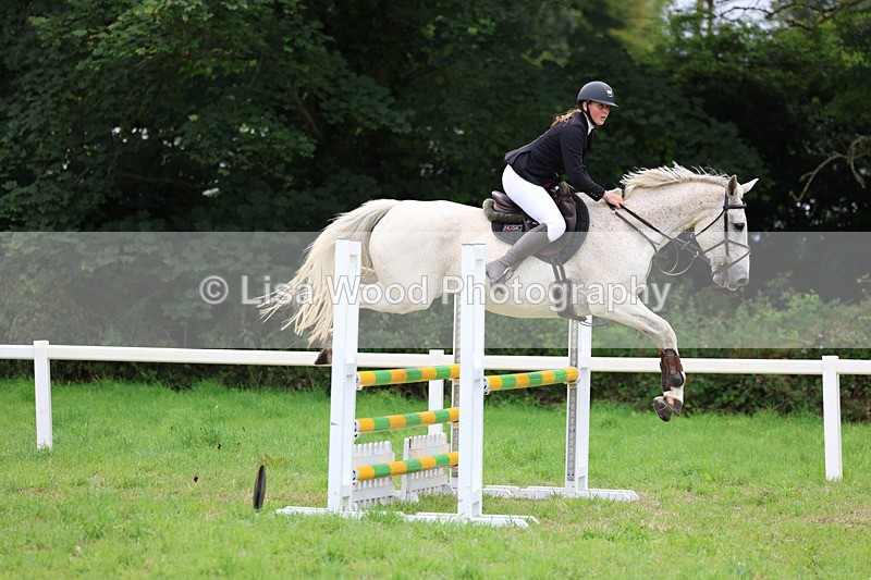 3E7A7101 - Class 5: Senior British Novice/90cm open