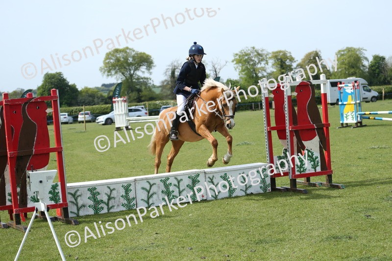 20260426-1749 - Class 14 - Novice 60cm