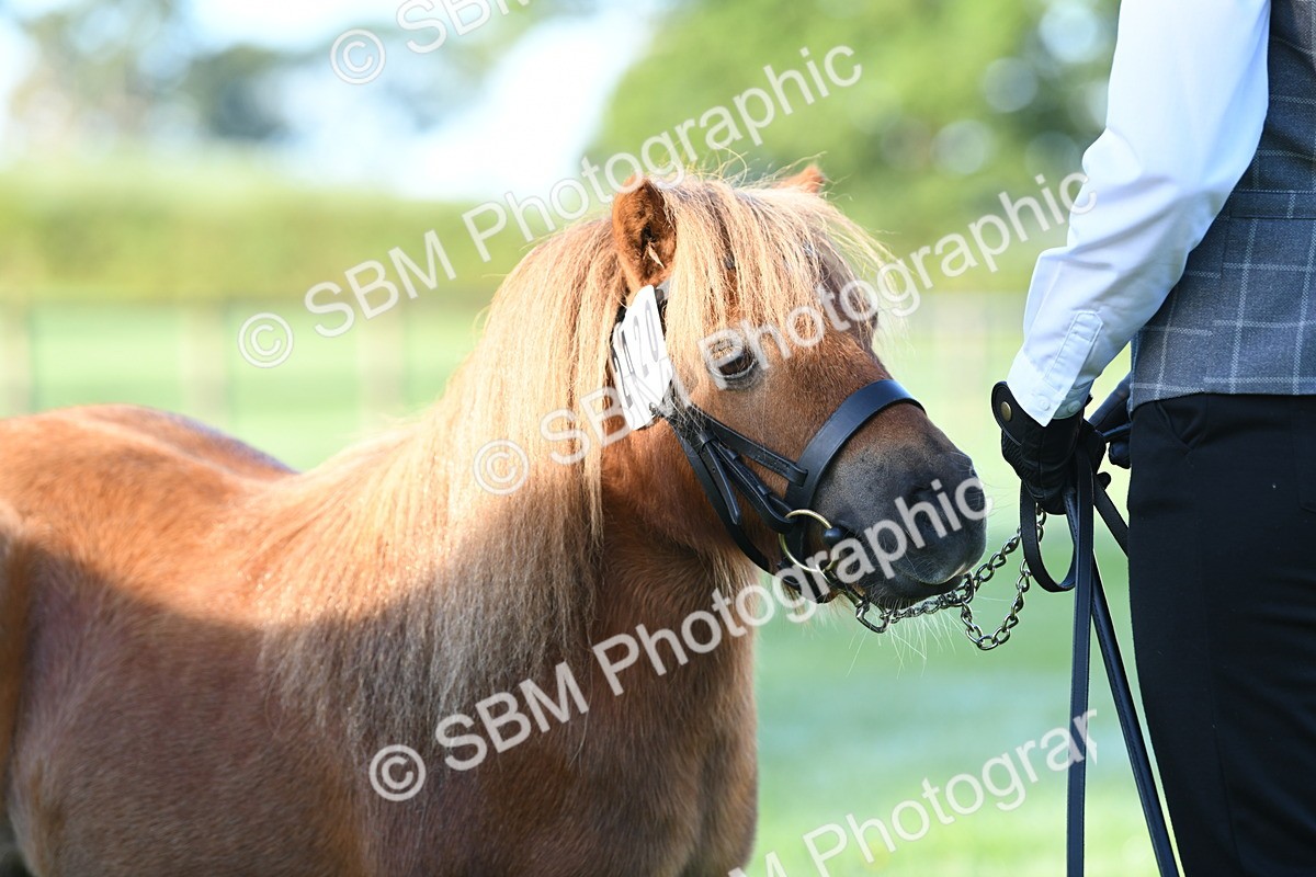SBM_32784 - S15 - Condition & Turnout In Hand