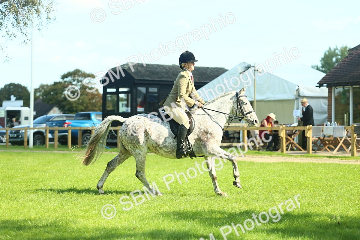 SBM_39246 - S29 - Novice & Newcomers Working Hunter Pony