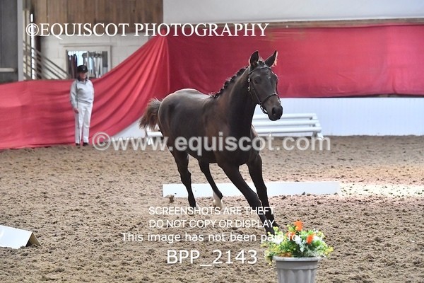 BPP_2143 - AFTERNOON 12.30 - 3.30PM