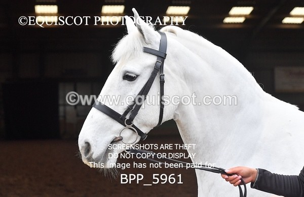 BPP_5961 - Erin Hancock ×2