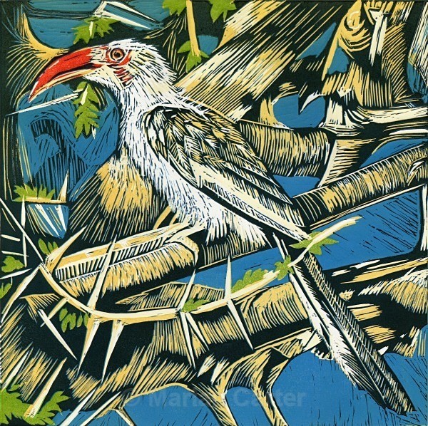 Red-billed Hornbill, Masai Mara, Kenya - Reduction Linocuts