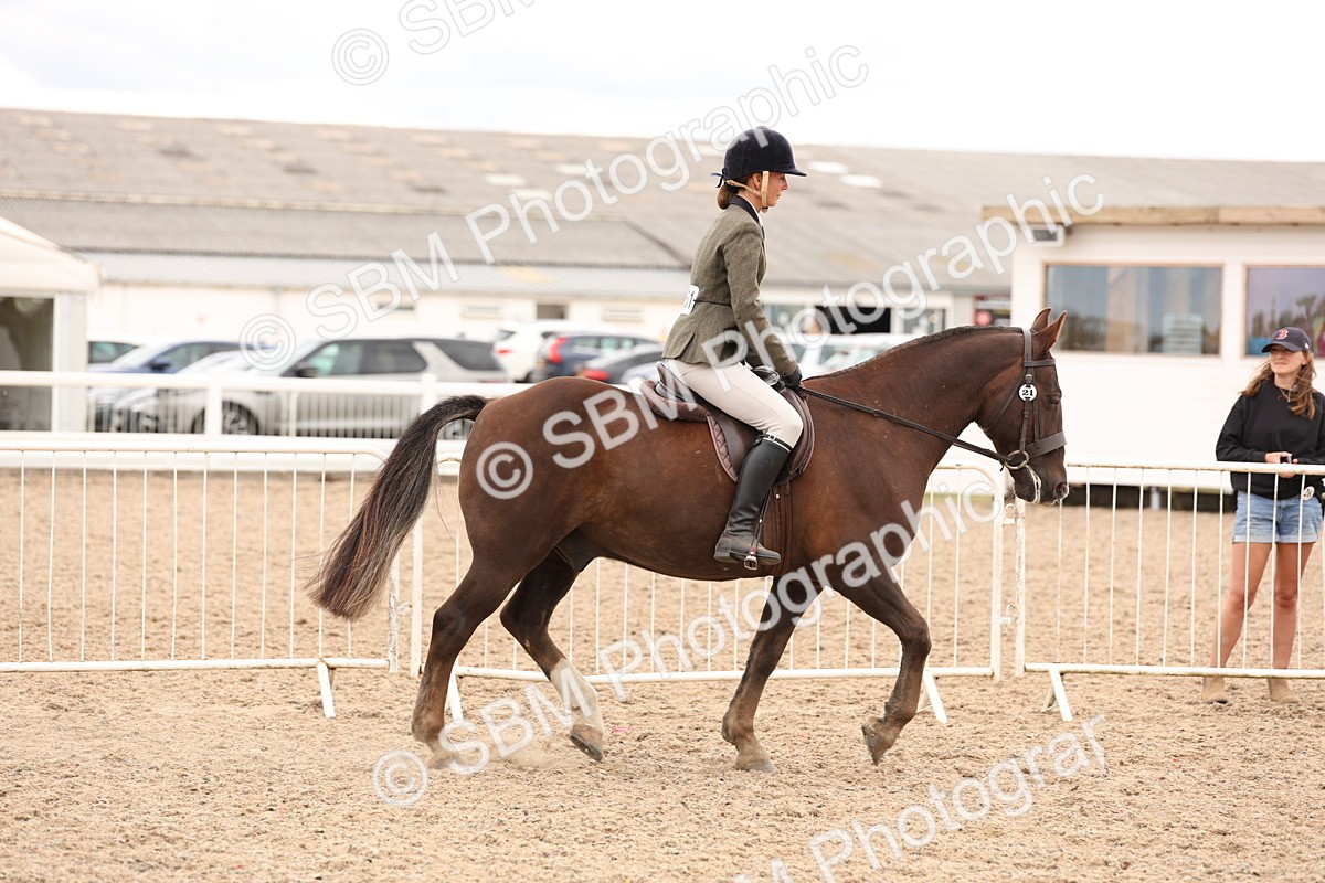 SBM_19500 - Class 215 - Ridden Show cob