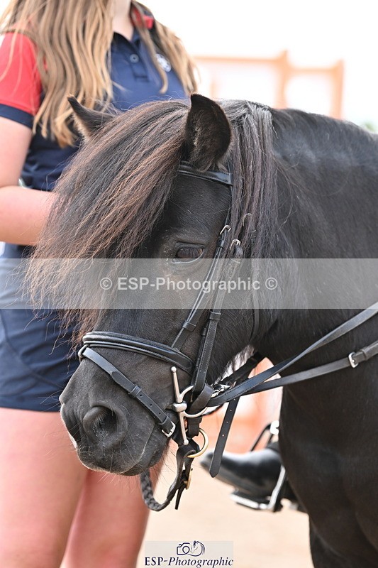 250821B-121908-00392 - Group D - Thomasina