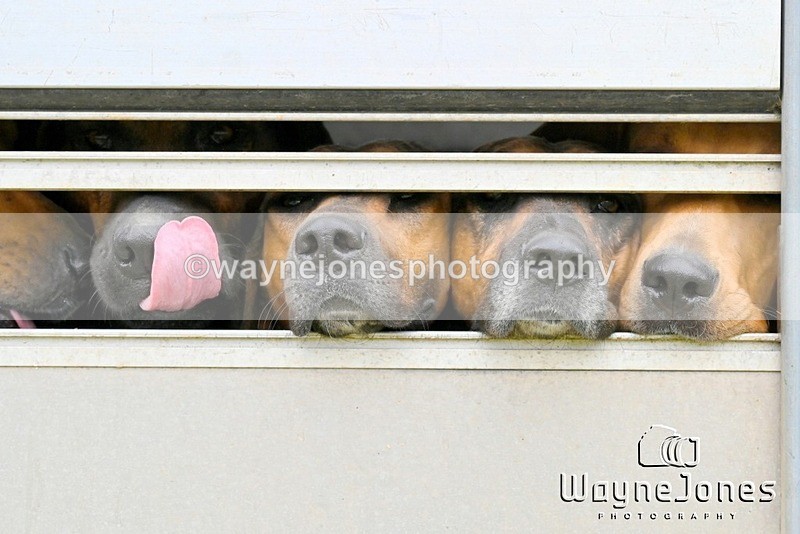 WJ6_2810 - Edited examples