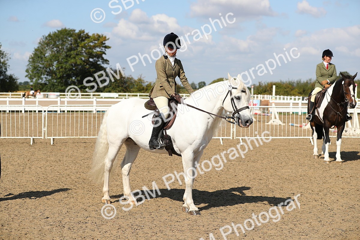 SBM_03175 - Class 44 Riding Club Horse/ Pony