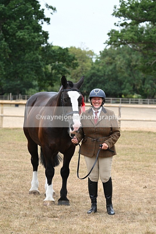 WJ7_0185 - Class 5a Most Handsome Gelding (above 14.2hh)