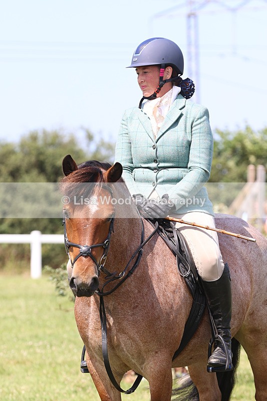 JPP_3315 - Class 22: Working Hunter 70cm