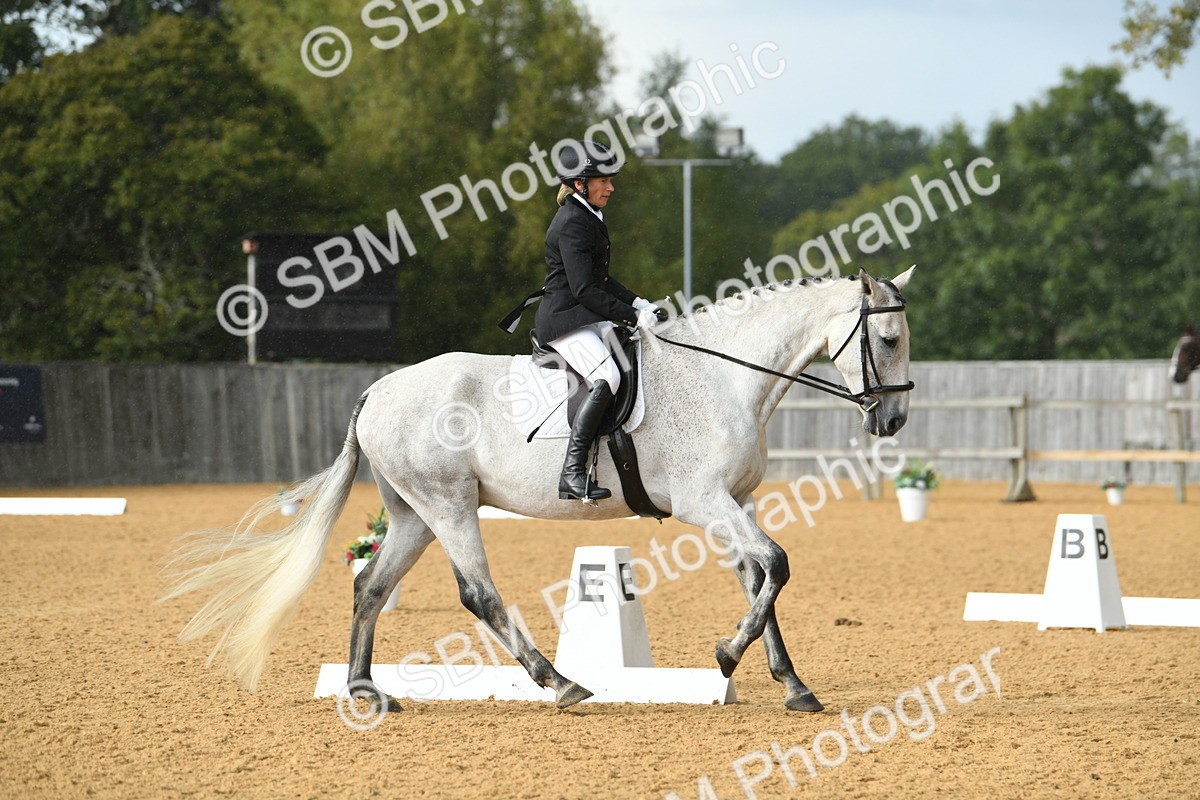 SBM_11174 - D28 Elementary Taster Elementary 42