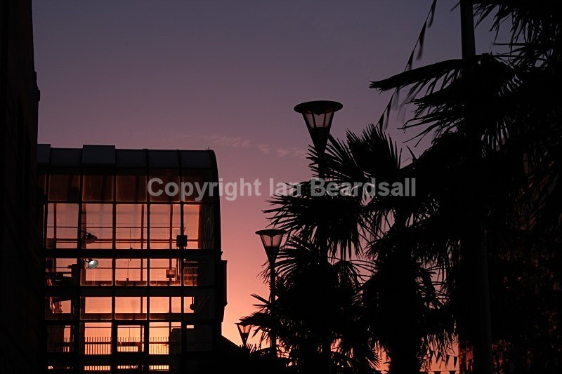 IMG_4734 - Essex