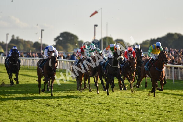 yr08102022r7-36 - Race 7 5.00pm The Coral Gets You Closer To The Action Stakes